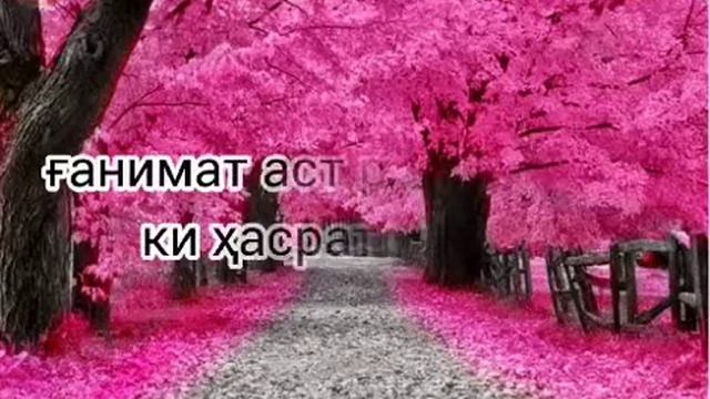 Падар кани тамршо кунед дастгири кунед лайк моне бародаро👍🏻 смотреть онлайн