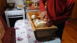 Капуста сохранившийся по совету таким образом по май месяц засолили