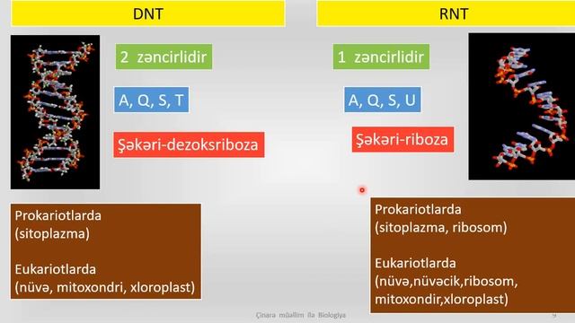 RNT смотреть онлайн