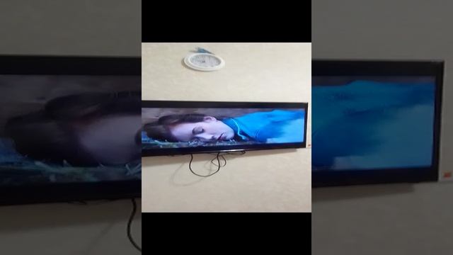 мои домаш жвотноиия смотреть онлайн
