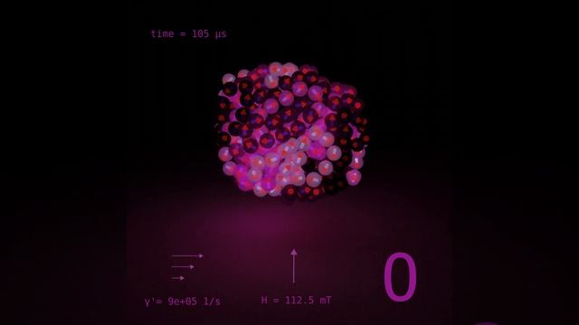 Stockmayer supracolloidal magnetic O-like polymers under shear flow and an external magnetic field смотреть онлайн
