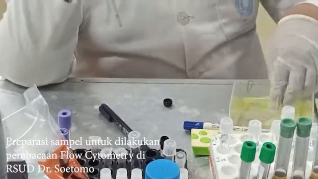 Pengamatan Spleenosit TReg dengan metode Flow Cytometry смотреть онлайн