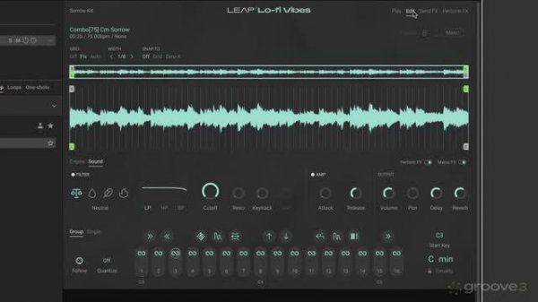10. Leap: Interface at Glance