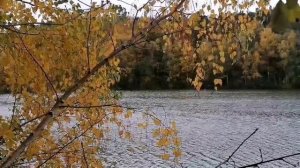 Повесть Виталия Полозова "На заимке" продолжение, часть 13, читает автор.