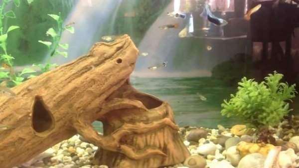 Vladimir Lalov - Overnight Saunter (lounge) Free music