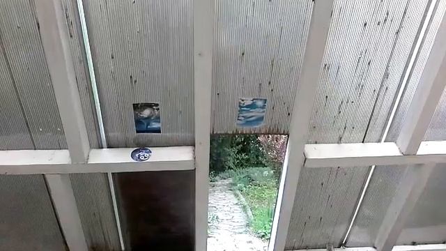 СОНАСТРОЙКА в ПИРАМИДЕ УНИВЕРСОЛИСА на ПЛАНЕТЫ ЗВЁЗДНОГО ХРАМА в космосхеме смотреть онлайн