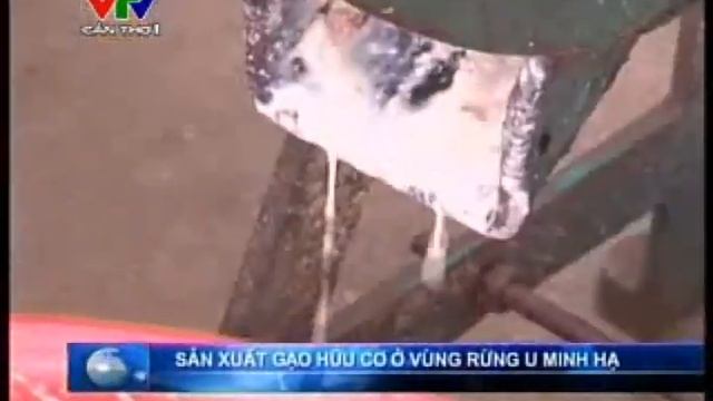 Gạo hữu cơ Hoa Sữa - Vietnam First USDA,EU Organic Standard Certified (2012) смотреть онлайн