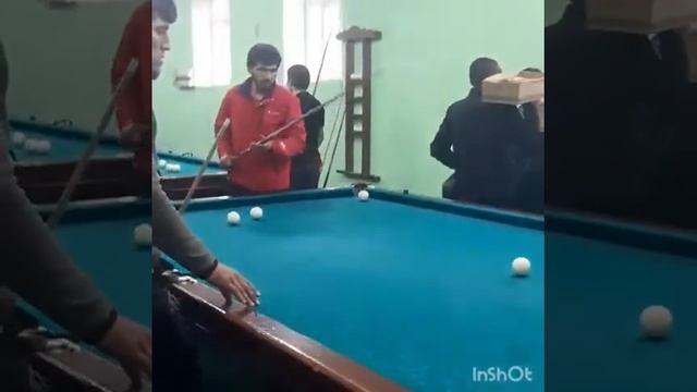 чемпион гиссара Белка смотреть онлайн