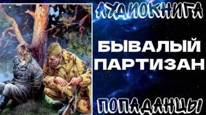 АУДИОКНИГА ПОПАДАНЦЫ: БЫВАЛЫЙ ПАРТИЗАН. КНИГА 1