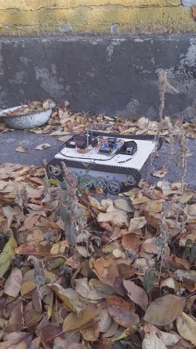 Робот и листья - 3 смотреть онлайн