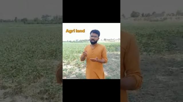 The best foliar spray for flowering in sesame | Benefits of NPK and Amino acid spray|Agri land смотреть онлайн
