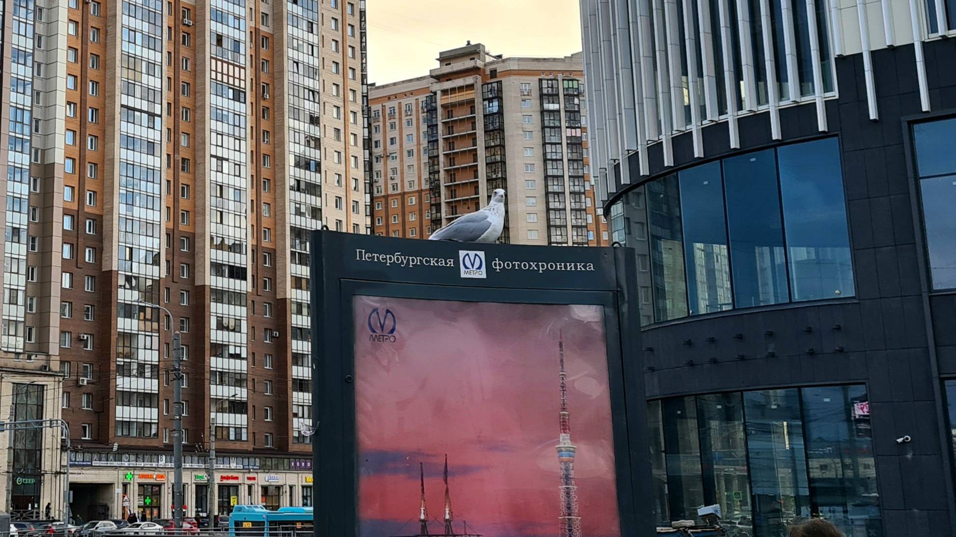 Санкт-Петербург. Метро Пионерская, погуляем по Удельному парку. смотреть онлайн