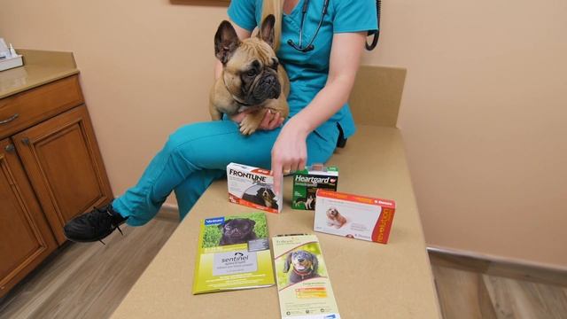 Heartworm, Flea an Tick Preventative for your Dog | What you can use! смотреть онлайн