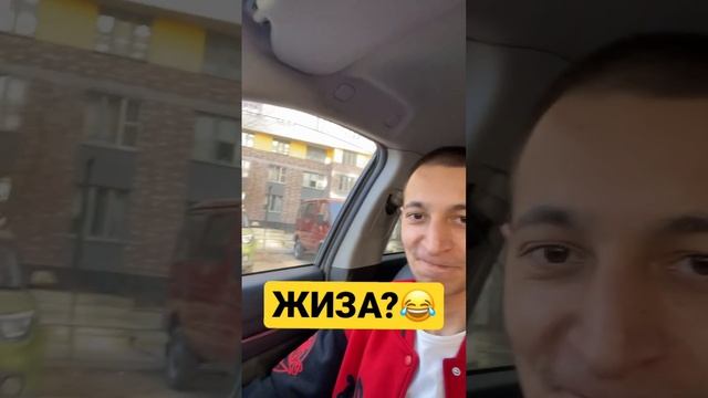Когда пришла весна и +15с #жиза #весна #лето2023 смотреть онлайн