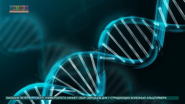 Новости вузов смотреть онлайн