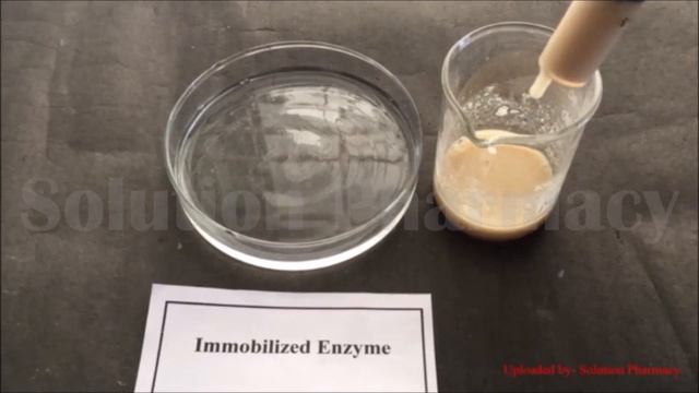Enzyme/Cell Immobilization | Yeast Cell Immobilization | Enzymatic Immobilization Process | ENGLISH смотреть онлайн