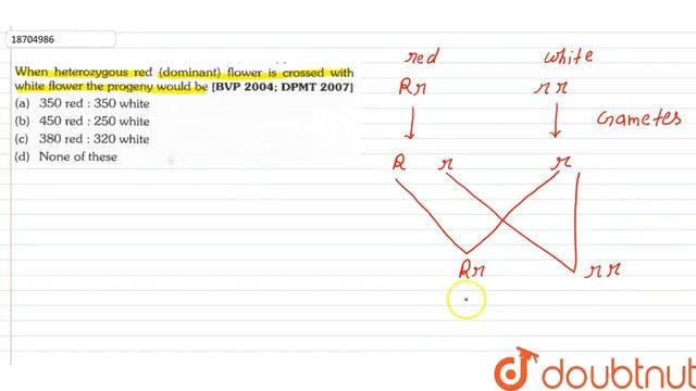 When heterzygos red (dominant) flower is crossed with white flower the progany would be смотреть онлайн