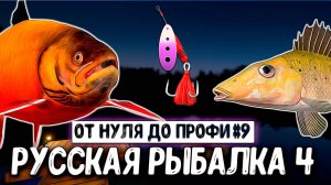 РУССКАЯ РЫБАЛКА 4. СБОРКИ ДЛЯ КУОРИ, ФАРМ СЕРЕБРА, ЛОВЛЯ РАЗМОТА, ПЛАНЫ #рр4