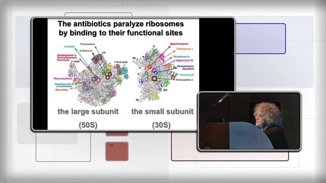 “De la ciencia Básica a los Avances en la Medicina Anti-Infecciosa y la Preservación del Microbioma смотреть онлайн