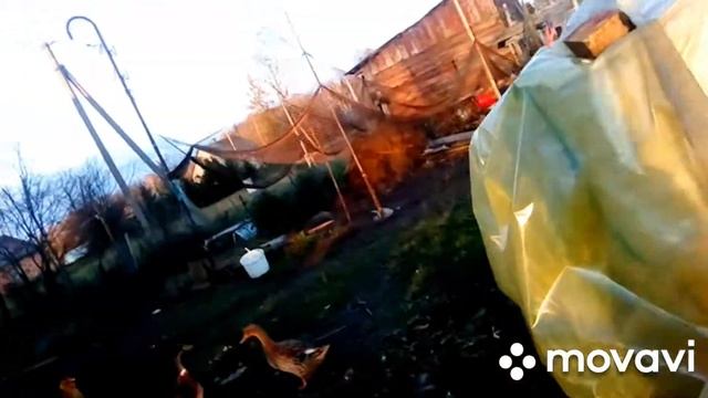 Какая у нас погода. смотреть онлайн