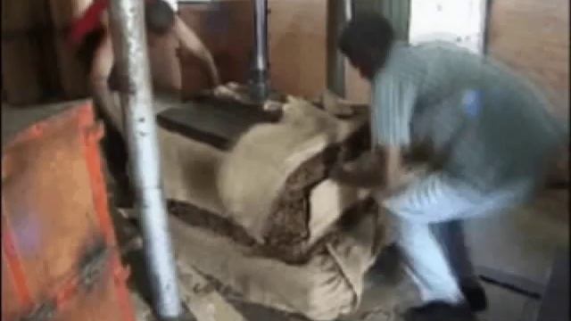 Cuban Cigars - the complete process - part 1 of 3 - Cohiba, Romeo Y Juliet, Monticristo смотреть онлайн