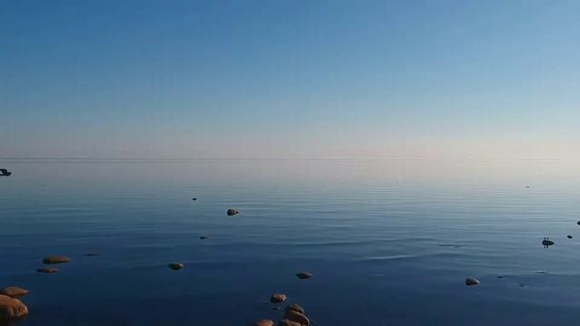 zelenogorsk смотреть онлайн