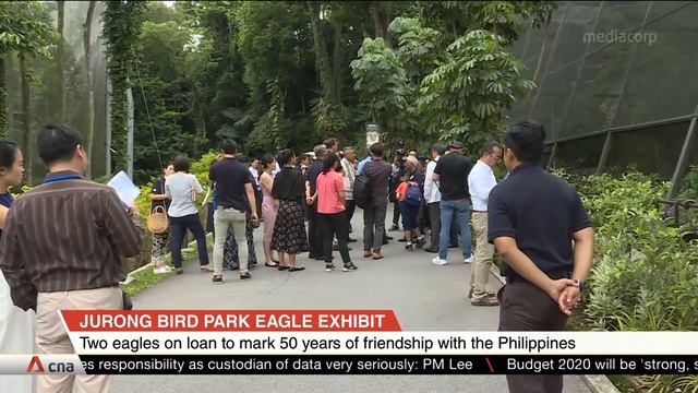 Jurong Bird Park unveils new eagle exhibit смотреть онлайн