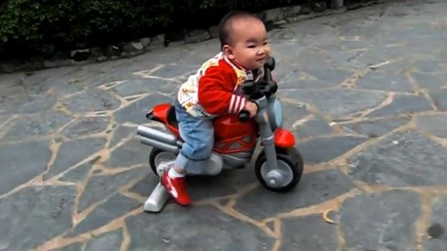BaBy Brian Driving смотреть онлайн