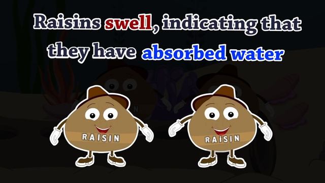 Osmosis | #aumsum #kids #science #education #children смотреть онлайн