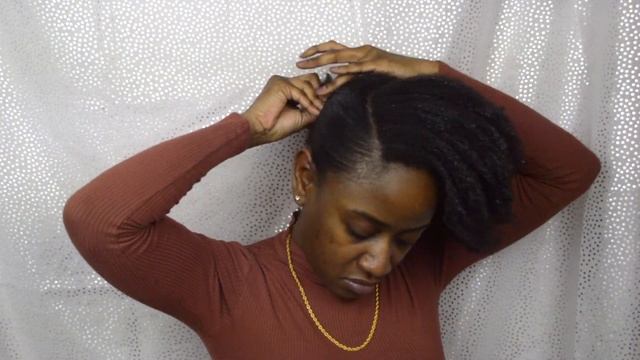 Side Swoop Ponytail on Natural 4C Hair Using NO HEAT - Quick & Easy Hairstyle | BusyDayDreaming смотреть онлайн