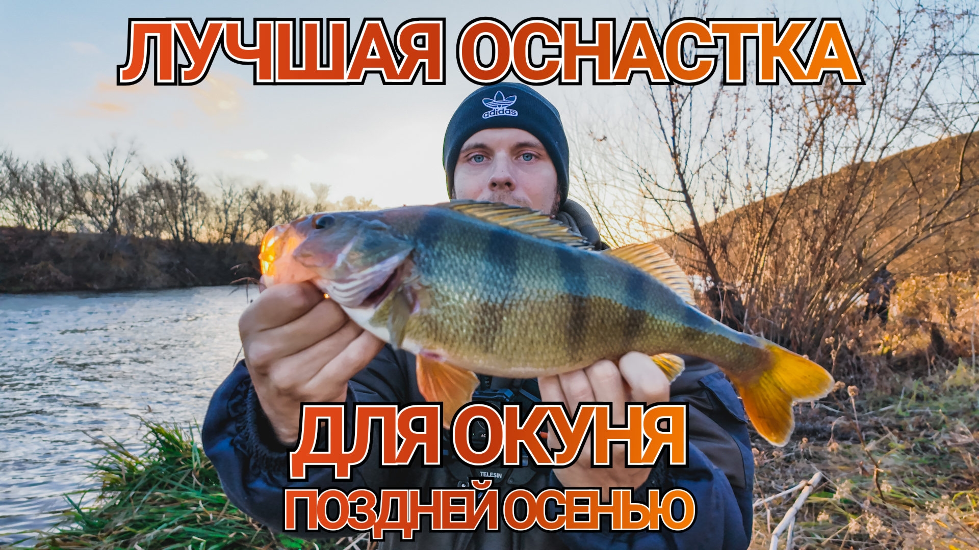 как ловить крупного окуня поздней осенью | JIG RIG как лучшая оснастка для осени | Лучшие места смотреть онлайн