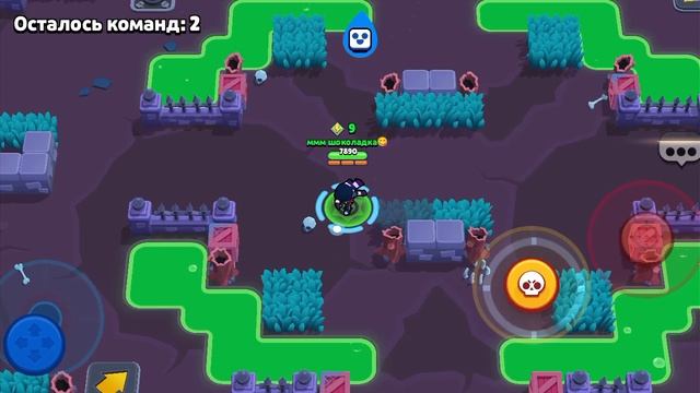 выпал дикий сту! бравл старс