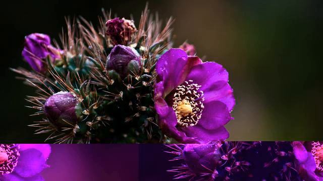 Новая русская новинка с тв онлайн смотреть онлайн