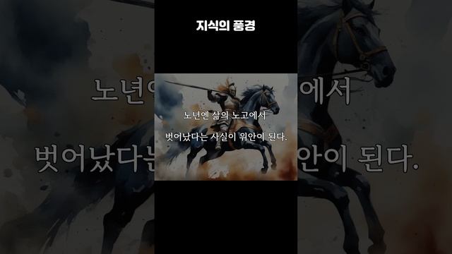 쇼펜하우어 인생은 고통을 이겨내기 위한 것 | 철학 한 모금 #오디오북 #철학 #인생철학 #인생론 #좋은글귀 #명언쇼츠 #인생의태도 #쇼펜하우어 #인생 #고통 #행복 смотреть онлайн