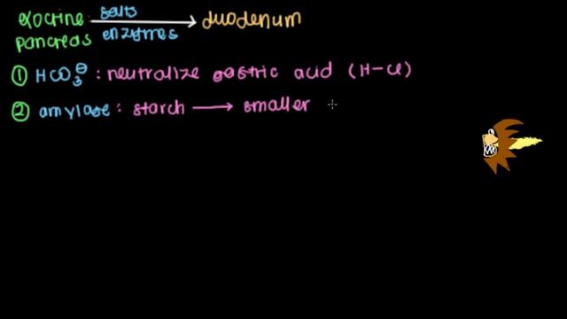 Exocrine pancreas | Gastrointestinal system physiology | NCLEX-RN | Khan Academy смотреть онлайн