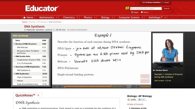 DNA Synthesis: Enzyme Functions смотреть онлайн