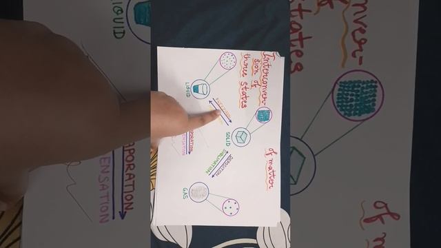 Science (NCRT) Class 9 Chapter 1 diagram of Interconversion of three state of matter #book #project смотреть онлайн