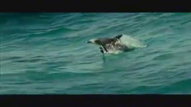 Музыка старая смотреть онлайн