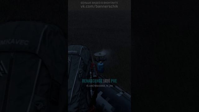 Вот она, рыба моей мечты. DayZ. Renascence [RU] PVE. #СталкерБаннерщик #DayZ смотреть онлайн