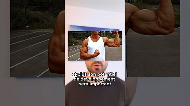 La morpho idéale pour les biceps #musculation #bodybuilding смотреть онлайн