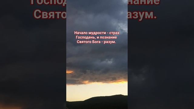 Бог - источник мудрости #жизнь #сила #разум #знания #библия #книга #Бог #христианство #истина #отве смотреть онлайн