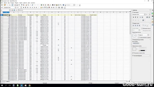 Фильтруем данные в таблице в OpenOffice Calc смотреть онлайн
