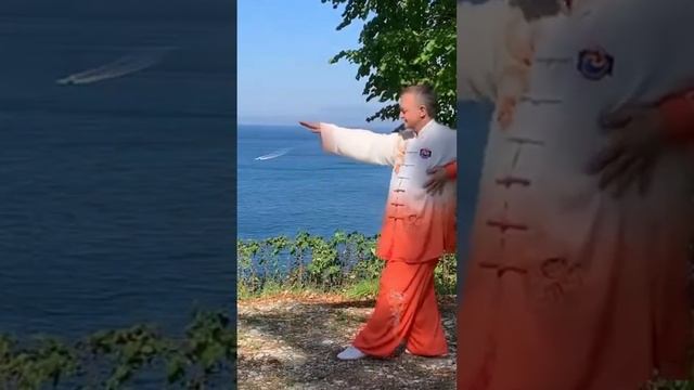 17 причина заняться Оздоровительным Цигун #shorts #зож смотреть онлайн