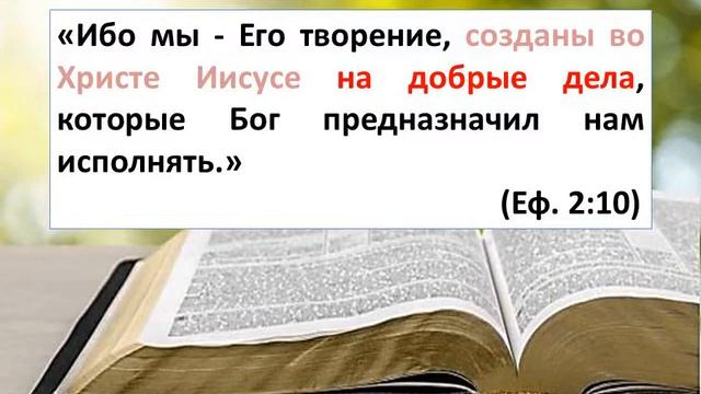 Экзегетика. Лекция 12 смотреть онлайн