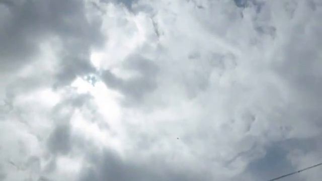 Панин и белка.... смотреть онлайн
