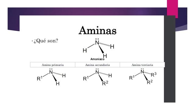 exposicion 2 quimica eter, esteres, aminas, amidas y acidos carboxilicos смотреть онлайн