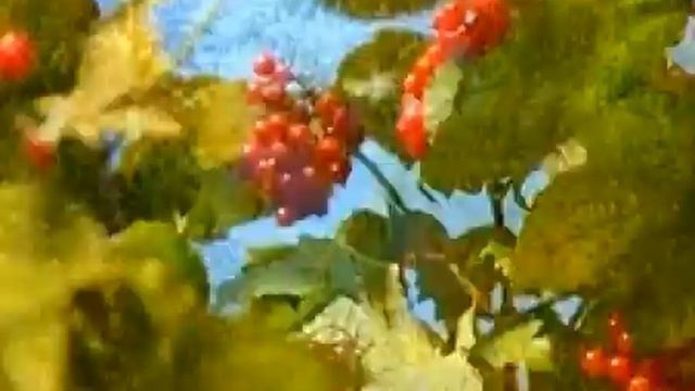 УСЛАНКОРИ ПАЛАН. ЧУВАШСКАЯ ПЕСНЯ .Р.АНДРЕЕВА смотреть онлайн