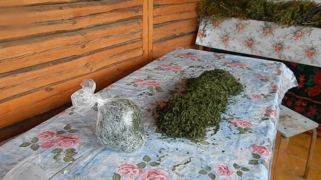 Дождь идет река наполняется, Иван - чай перерабатываем сами в чай смотреть онлайн