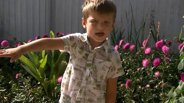 00046 смотреть онлайн