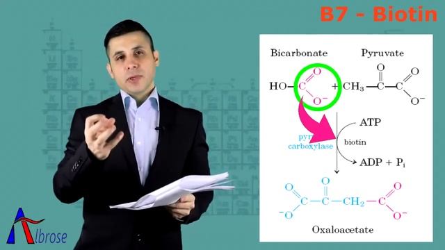 General Biochemistry 29 Vitamins B5&B7&C , كيمياء حيوية عامة 29 فيتامينات ج5 смотреть онлайн
